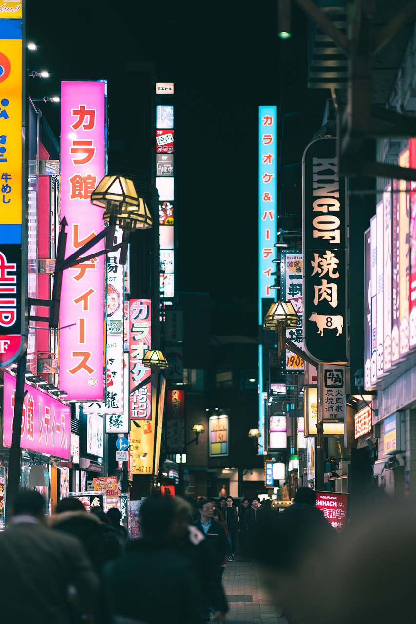 city, japan, travel